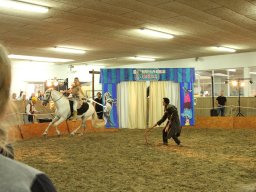 IMG_5174_web